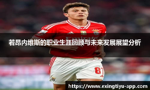 e星体育app